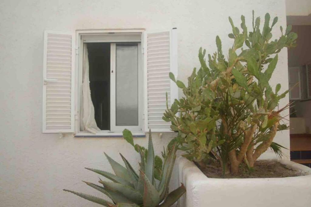A 2 Minutos Andando A La Playa. *